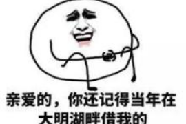 镜湖镜湖的要账公司在催收过程中的策略和技巧有哪些？